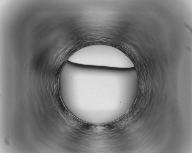 X0000095520607200712140911