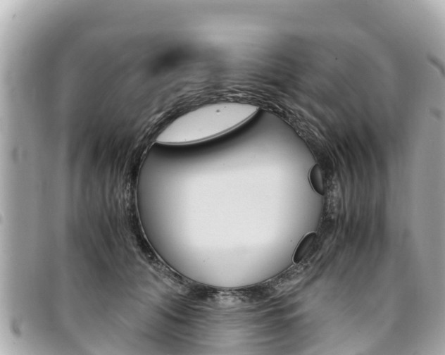X0000095520608200712140911