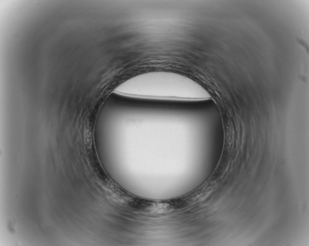 X0000095520609200712140911