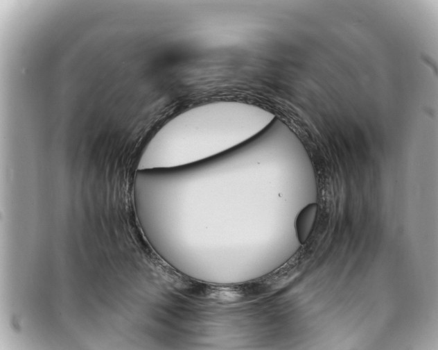 X0000095520610200712140911