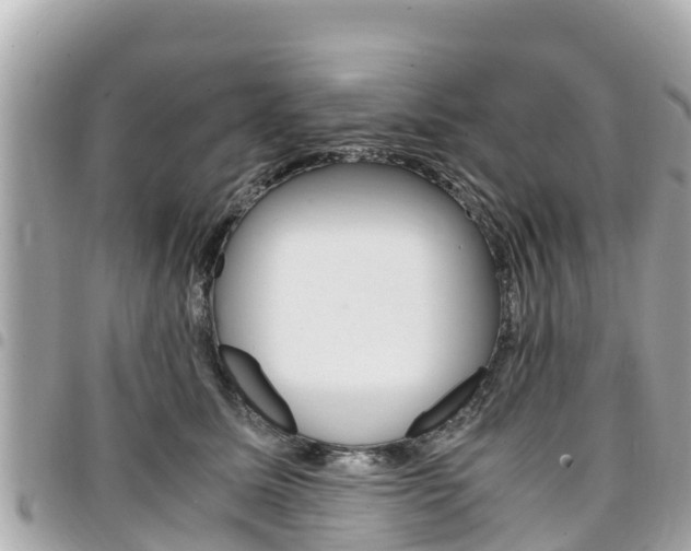 X0000095520611200712140911