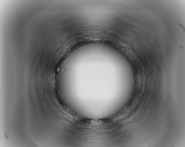 X0000095520612200712140911