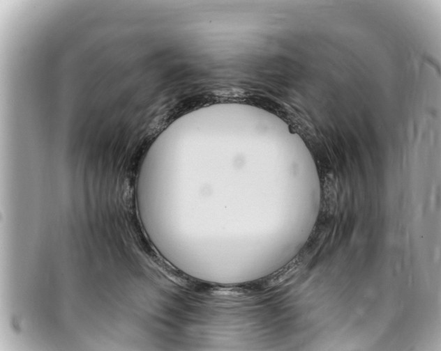 X0000095520614200712140911