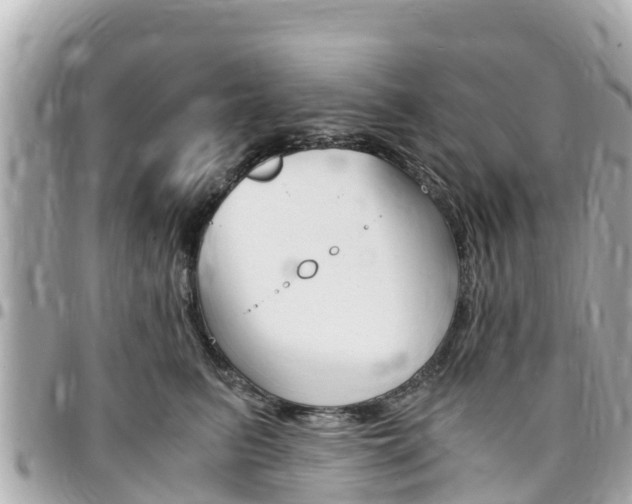 X0000095520615200712140911