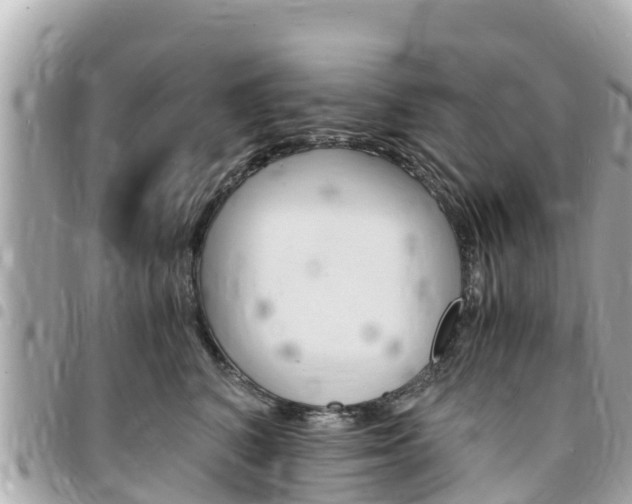 X0000095520616200712140911