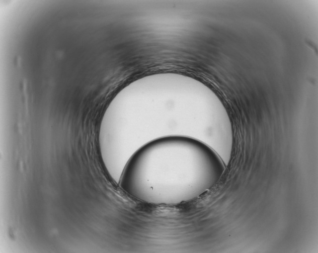 X0000095520617200712140911