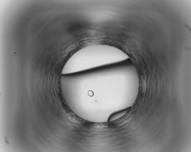X0000095520619200712140911