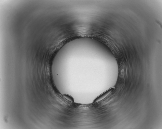 X0000095520620200712140911
