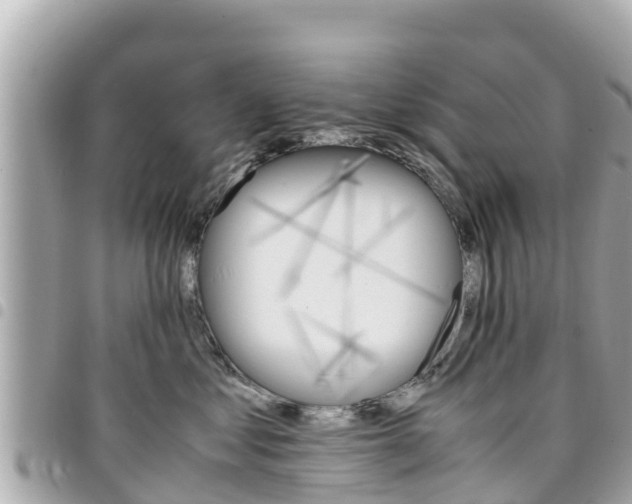 X0000095520621200712140911