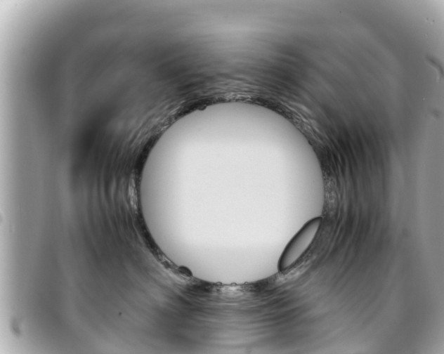 X0000095520622200712140911