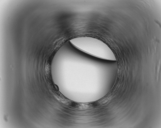 X0000095520623200712140911