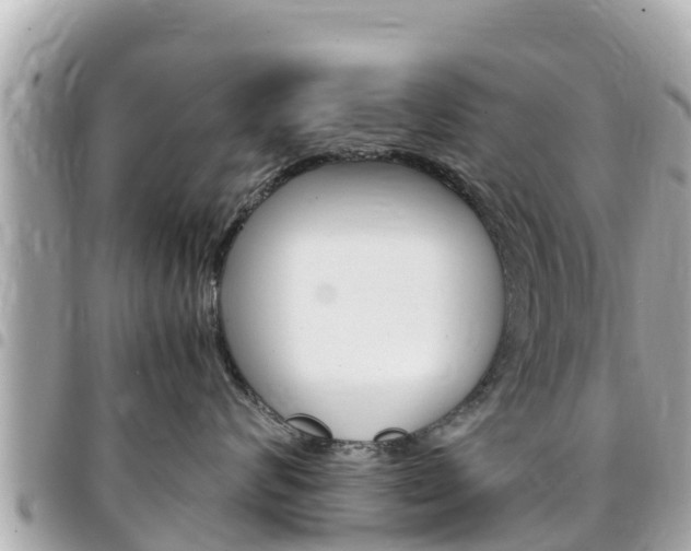 X0000095520624200712140911