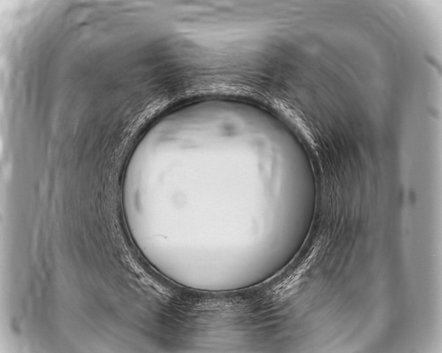 X0000095520625200712140910