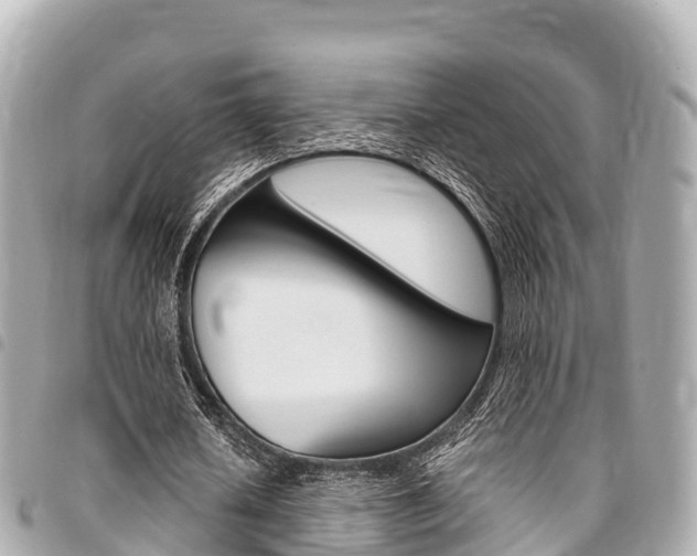 X0000095520626200712140910