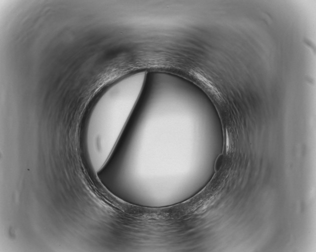 X0000095520627200712140910