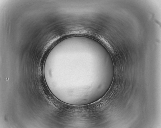 X0000095520628200712140910