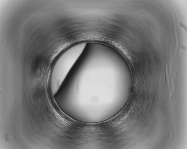 X0000095520629200712140910