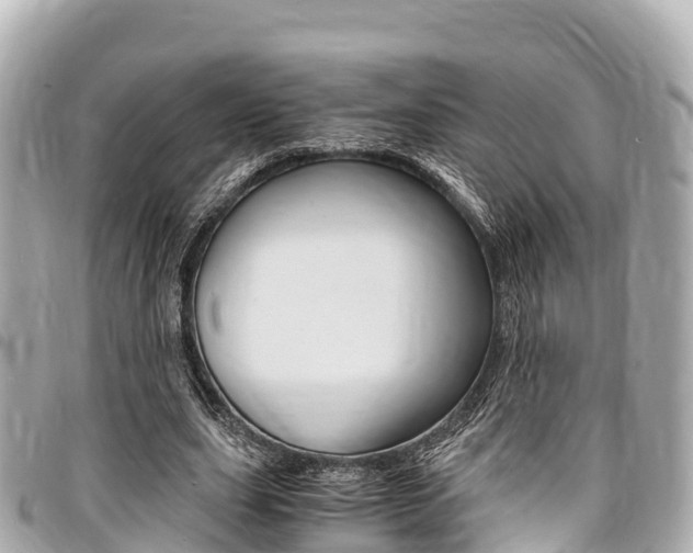 X0000095520631200712140910