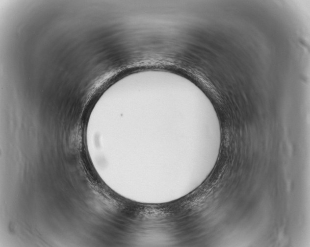 X0000095520632200712140910