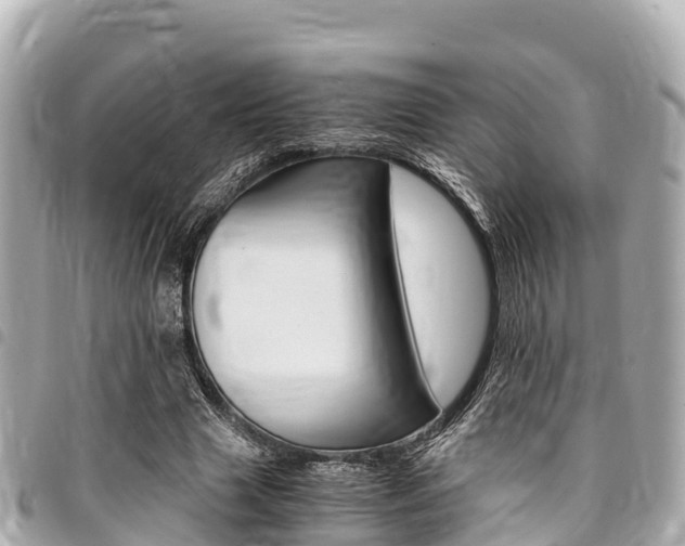 X0000095520633200712140910
