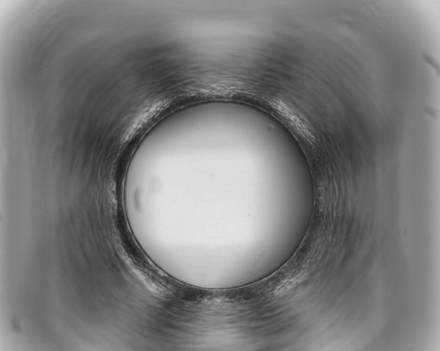 X0000095520634200712140910