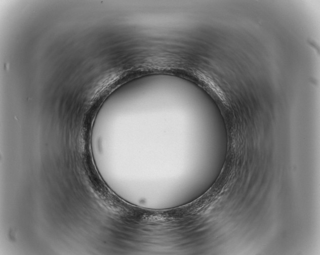 X0000095520635200712140910