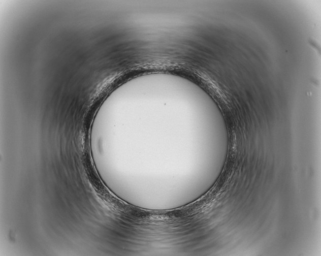 X0000095520636200712140910