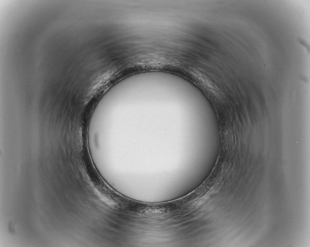 X0000095520638200712140910