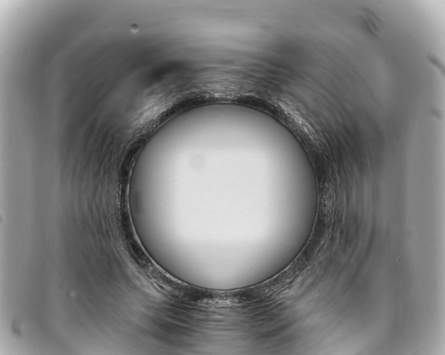 X0000095520639200712140910