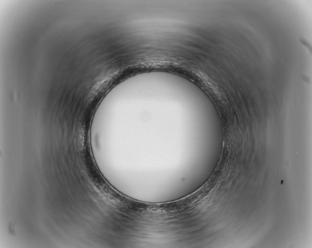 X0000095520640200712140910