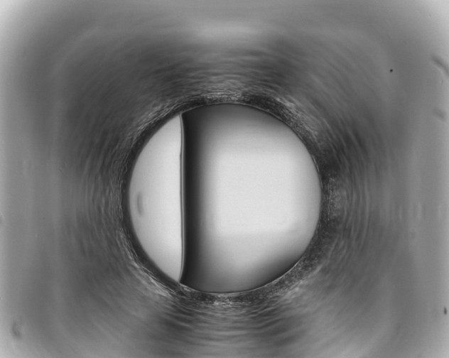 X0000095520641200712140910