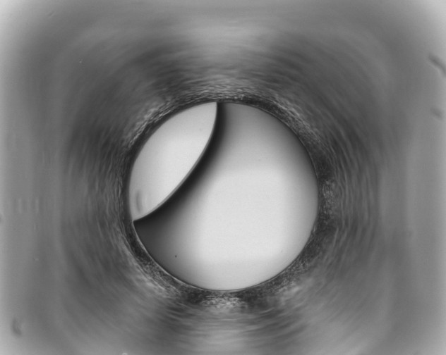 X0000095520642200712140910