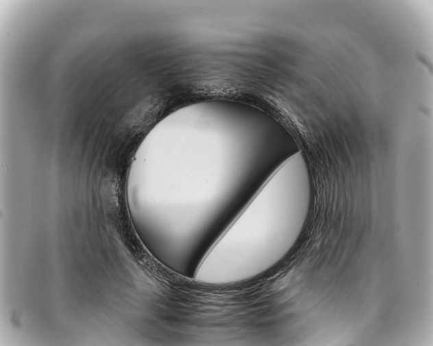 X0000095520643200712140910