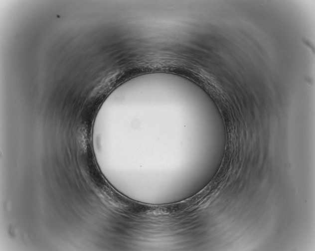 X0000095520644200712140910