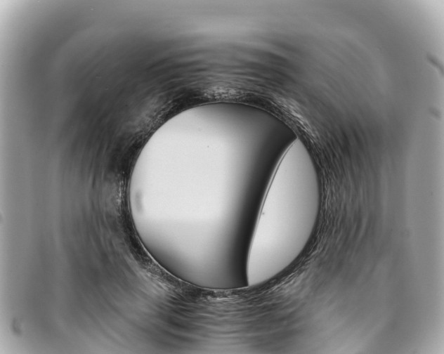 X0000095520645200712140910