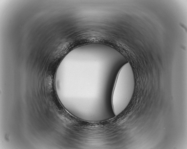 X0000095520646200712140910