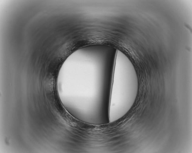 X0000095520647200712140910