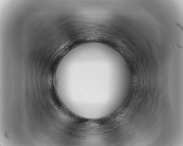X0000095520648200712140910
