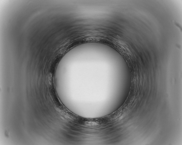 X0000095520649200712140910