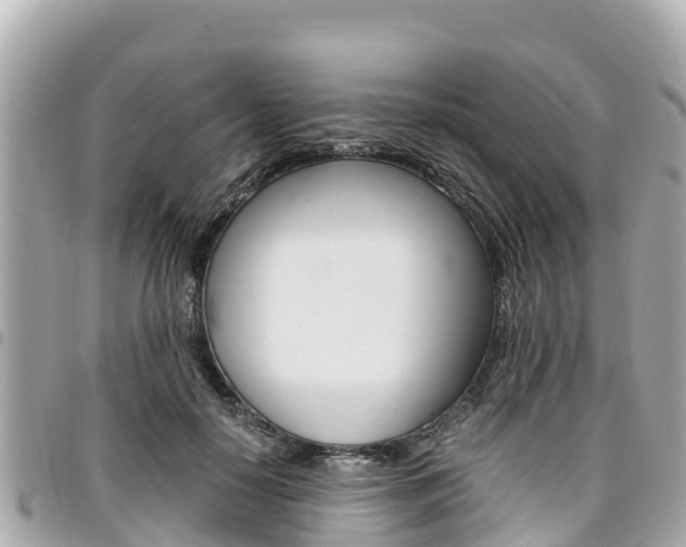 X0000095520650200712140910
