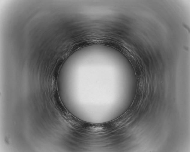 X0000095520651200712140910