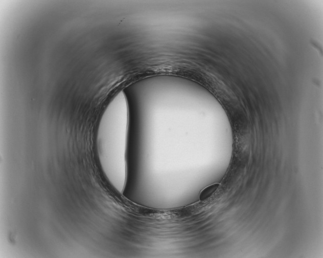 X0000095520652200712140910