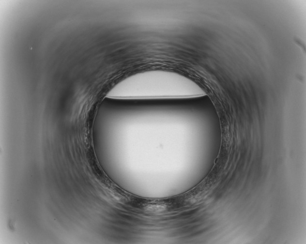 X0000095520653200712140910