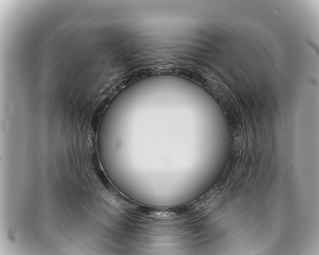 X0000095520654200712140910
