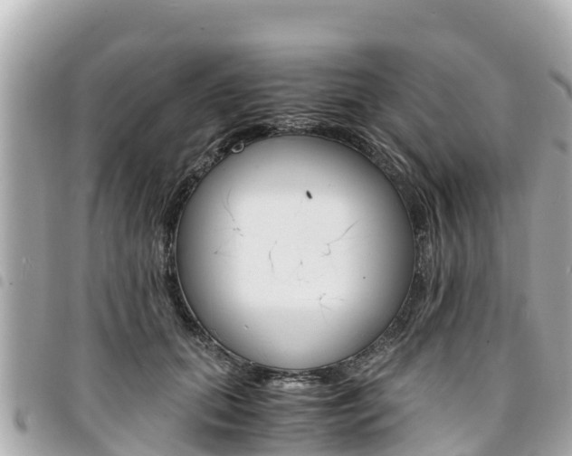 X0000095520655200712140910