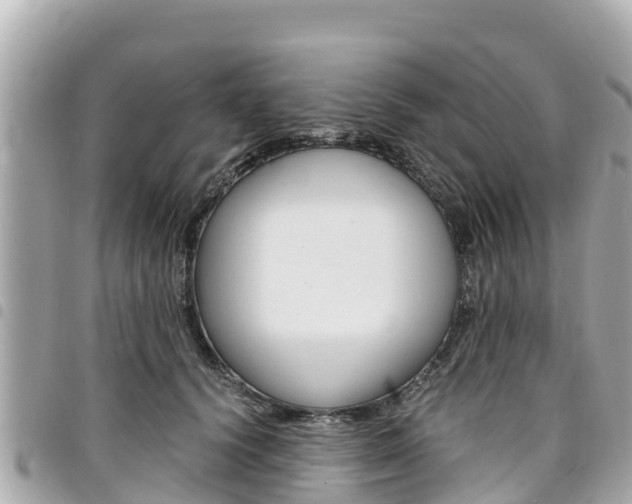 X0000095520656200712140910