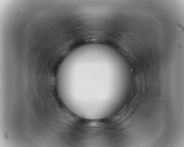 X0000095520657200712140910