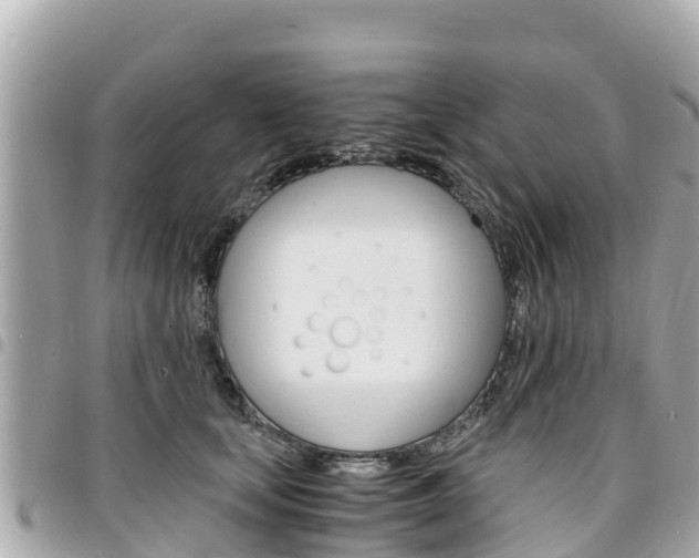 X0000095520659200712140910