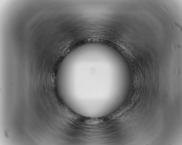 X0000095520661200712140911