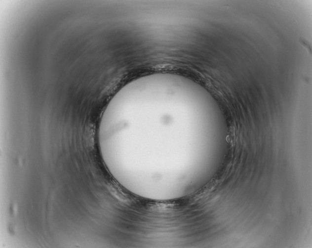 X0000095520664200712140911
